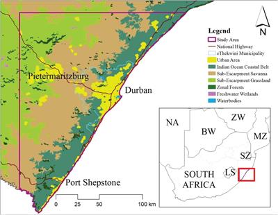 Surviving the Urban Jungle: Anthropogenic Threats, Wildlife-Conflicts, and Management Recommendations for African Crowned Eagles